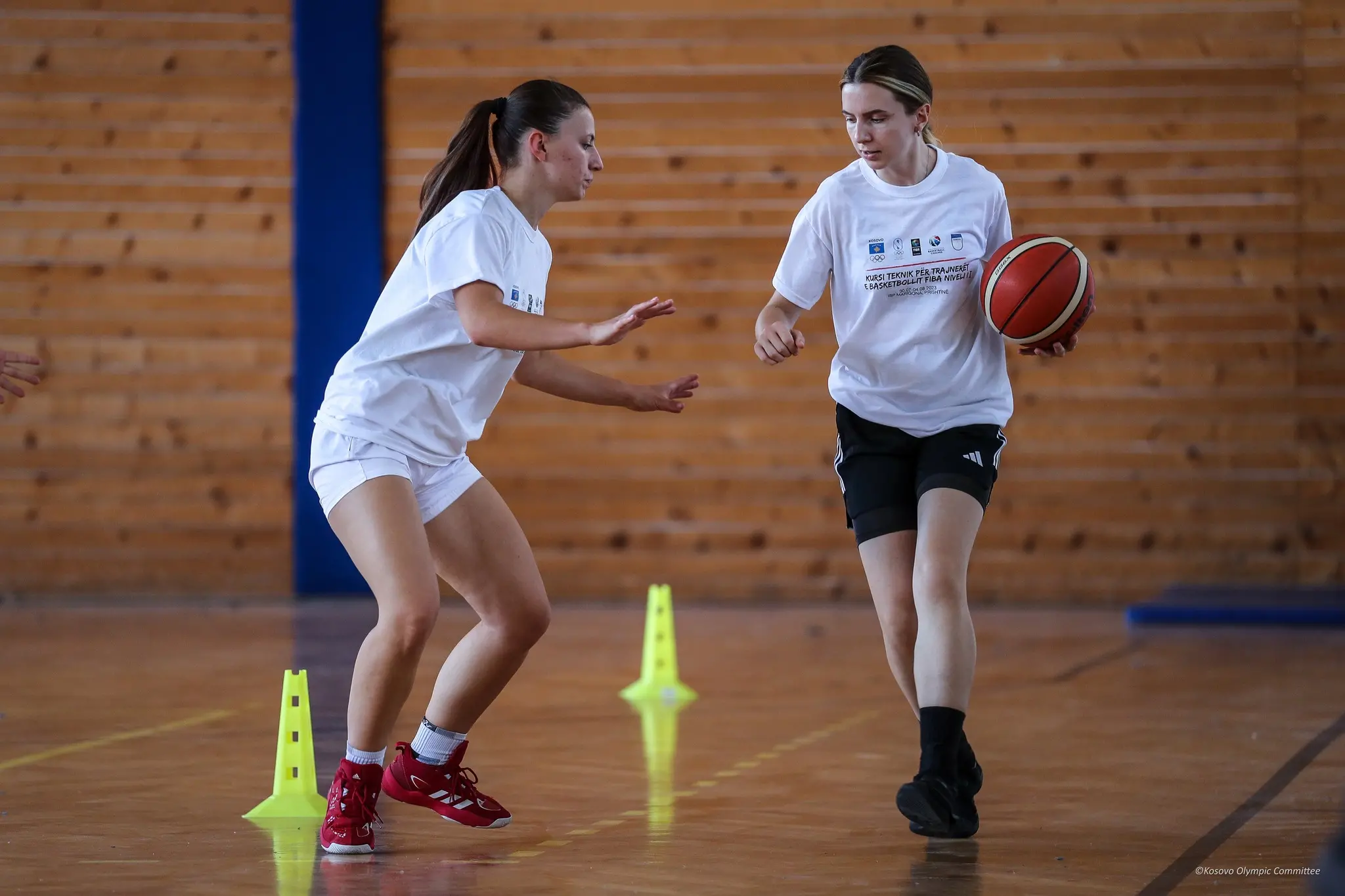 Kursi Teknik i FIBA-s-Grupi 5